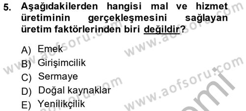 Gelir Dağılımı ve Yoksulluk Dersi 2013 - 2014 Yılı (Vize) Ara Sınav Soruları 5. Soru