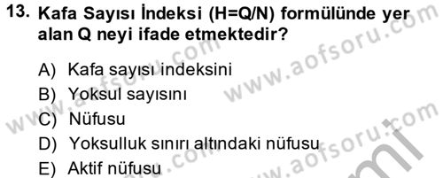Gelir Dağılımı ve Yoksulluk Dersi 2013 - 2014 Yılı (Final) Dönem Sonu Sınav Soruları 13. Soru