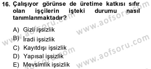 Gelir Dağılımı ve Yoksulluk Dersi 2013 - 2014 Yılı (Final) Dönem Sonu Sınav Soruları 16. Soru