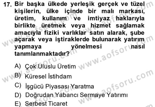 Gelir Dağılımı ve Yoksulluk Dersi 2013 - 2014 Yılı (Final) Dönem Sonu Sınav Soruları 17. Soru