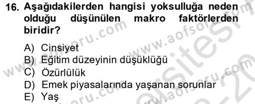 Gelir Dağılımı ve Yoksulluk Dersi 2013 - 2014 Yılı Tek Ders Sınav Soruları 16. Soru