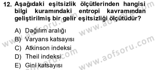 Gelir Dağılımı ve Yoksulluk Dersi 2014 - 2015 Yılı (Vize) Ara Sınav Soruları 12. Soru