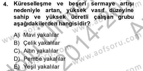 Gelir Dağılımı ve Yoksulluk Dersi 2014 - 2015 Yılı (Vize) Ara Sınav Soruları 4. Soru