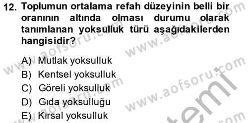 Gelir Dağılımı ve Yoksulluk Dersi 2014 - 2015 Yılı (Final) Dönem Sonu Sınavı 12. Soru