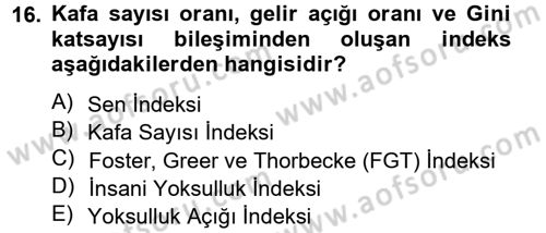 Gelir Dağılımı ve Yoksulluk Dersi 2014 - 2015 Yılı Tek Ders Sınav Soruları 16. Soru