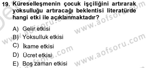 Gelir Dağılımı ve Yoksulluk Dersi 2014 - 2015 Yılı Tek Ders Sınav Soruları 19. Soru