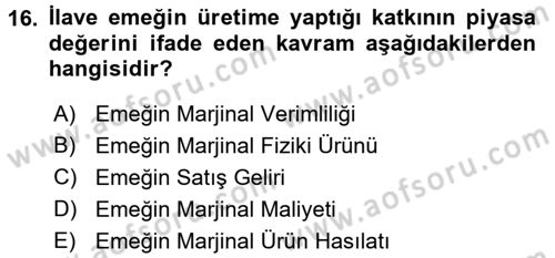 Gelir Dağılımı ve Yoksulluk Dersi 2015 - 2016 Yılı (Vize) Ara Sınav Soruları 16. Soru