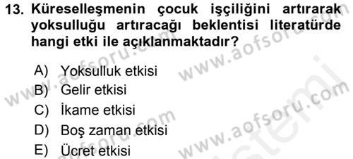 Gelir Dağılımı ve Yoksulluk Dersi 2015 - 2016 Yılı Tek Ders Sınav Soruları 13. Soru