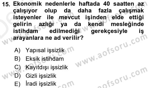 Gelir Dağılımı ve Yoksulluk Dersi 2015 - 2016 Yılı Tek Ders Sınav Soruları 15. Soru