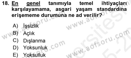 Gelir Dağılımı ve Yoksulluk Dersi 2015 - 2016 Yılı Tek Ders Sınav Soruları 18. Soru