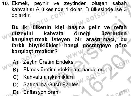 Gelir Dağılımı ve Yoksulluk Dersi 2016 - 2017 Yılı 3 Ders Sınav Soruları 10. Soru