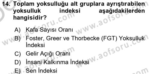 Gelir Dağılımı ve Yoksulluk Dersi 2016 - 2017 Yılı 3 Ders Sınav Soruları 14. Soru
