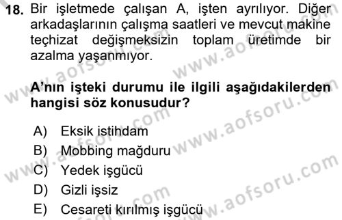 Gelir Dağılımı ve Yoksulluk Dersi 2016 - 2017 Yılı 3 Ders Sınav Soruları 18. Soru
