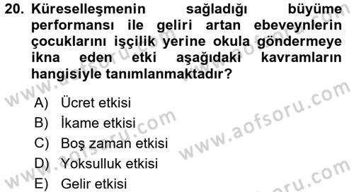 Gelir Dağılımı ve Yoksulluk Dersi 2016 - 2017 Yılı 3 Ders Sınav Soruları 20. Soru