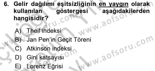 Gelir Dağılımı ve Yoksulluk Dersi 2016 - 2017 Yılı 3 Ders Sınav Soruları 6. Soru
