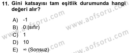Gelir Dağılımı ve Yoksulluk Dersi 2016 - 2017 Yılı (Vize) Ara Sınav Soruları 11. Soru