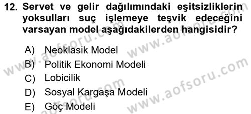 Gelir Dağılımı ve Yoksulluk Dersi 2016 - 2017 Yılı (Vize) Ara Sınav Soruları 12. Soru