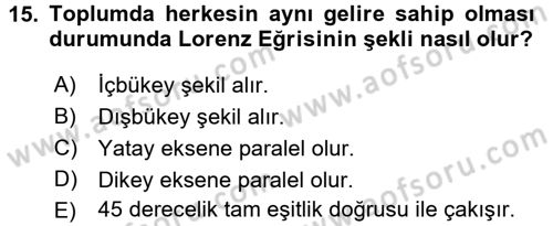 Gelir Dağılımı ve Yoksulluk Dersi 2016 - 2017 Yılı (Vize) Ara Sınav Soruları 15. Soru