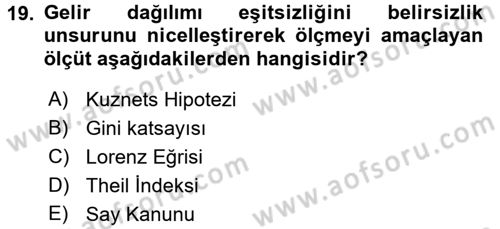 Gelir Dağılımı ve Yoksulluk Dersi 2016 - 2017 Yılı (Vize) Ara Sınav Soruları 19. Soru