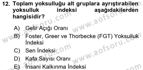 Gelir Dağılımı ve Yoksulluk Dersi 2016 - 2017 Yılı (Final) Dönem Sonu Sınav Soruları 12. Soru