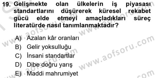 Gelir Dağılımı ve Yoksulluk Dersi 2016 - 2017 Yılı (Final) Dönem Sonu Sınav Soruları 19. Soru
