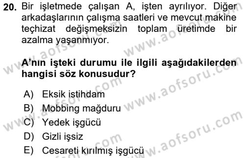 Gelir Dağılımı ve Yoksulluk Dersi 2016 - 2017 Yılı (Final) Dönem Sonu Sınav Soruları 20. Soru
