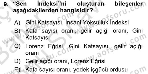 Gelir Dağılımı ve Yoksulluk Dersi 2016 - 2017 Yılı (Final) Dönem Sonu Sınav Soruları 9. Soru