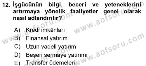 Gelir Dağılımı ve Yoksulluk Dersi 2017 - 2018 Yılı 3 Ders Sınav Soruları 12. Soru