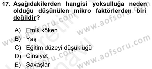 Gelir Dağılımı ve Yoksulluk Dersi 2017 - 2018 Yılı 3 Ders Sınav Soruları 17. Soru