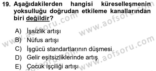 Gelir Dağılımı ve Yoksulluk Dersi 2017 - 2018 Yılı 3 Ders Sınav Soruları 19. Soru