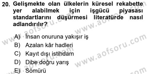 Gelir Dağılımı ve Yoksulluk Dersi 2017 - 2018 Yılı 3 Ders Sınav Soruları 20. Soru