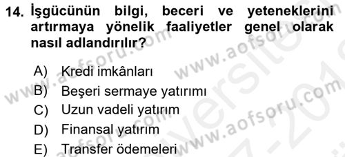 Gelir Dağılımı ve Yoksulluk Dersi 2017 - 2018 Yılı (Vize) Ara Sınav Soruları 14. Soru