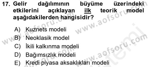 Gelir Dağılımı ve Yoksulluk Dersi 2017 - 2018 Yılı (Vize) Ara Sınav Soruları 17. Soru