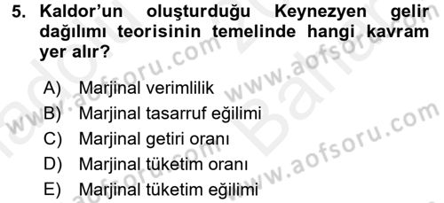 Gelir Dağılımı ve Yoksulluk Dersi 2017 - 2018 Yılı (Vize) Ara Sınav Soruları 5. Soru