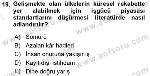 Gelir Dağılımı ve Yoksulluk Dersi 2017 - 2018 Yılı (Final) Dönem Sonu Sınav Soruları 19. Soru