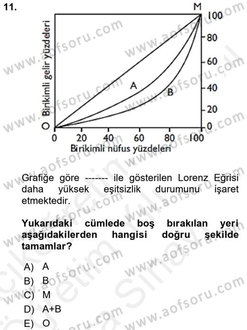 Gelir Dağılımı ve Yoksulluk Dersi 2018 - 2019 Yılı (Vize) Ara Sınav Soruları 11. Soru