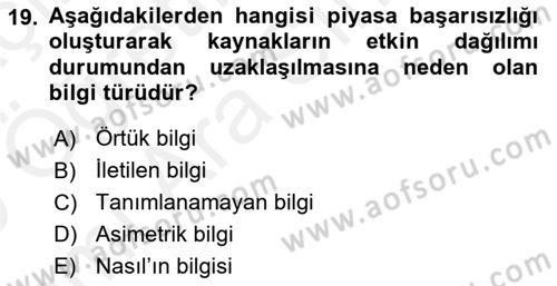 Gelir Dağılımı ve Yoksulluk Dersi 2018 - 2019 Yılı (Vize) Ara Sınav Soruları 19. Soru