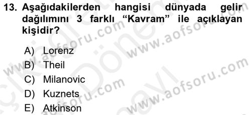 Gelir Dağılımı ve Yoksulluk Dersi 2018 - 2019 Yılı (Final) Dönem Sonu Sınav Soruları 13. Soru