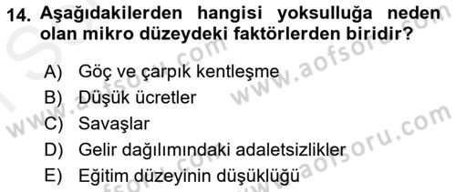 Gelir Dağılımı ve Yoksulluk Dersi 2018 - 2019 Yılı (Final) Dönem Sonu Sınav Soruları 14. Soru