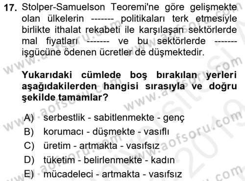 Gelir Dağılımı ve Yoksulluk Dersi 2018 - 2019 Yılı (Final) Dönem Sonu Sınav Soruları 17. Soru