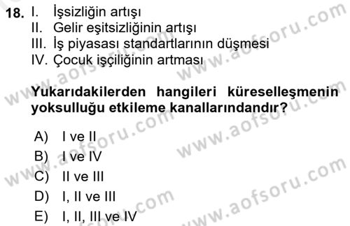 Gelir Dağılımı ve Yoksulluk Dersi 2018 - 2019 Yılı (Final) Dönem Sonu Sınav Soruları 18. Soru