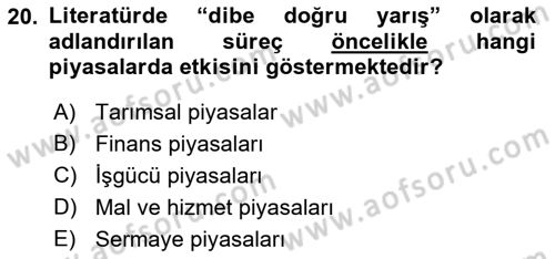 Gelir Dağılımı ve Yoksulluk Dersi 2018 - 2019 Yılı (Final) Dönem Sonu Sınav Soruları 20. Soru