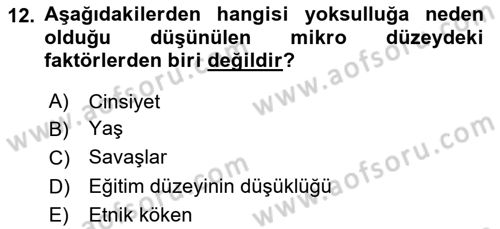 Gelir Dağılımı ve Yoksulluk Dersi 2018 - 2019 Yılı Yaz Okulu Sınav Soruları 12. Soru