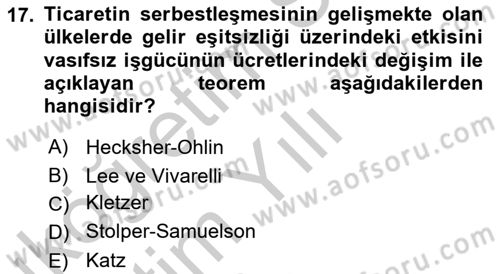 Gelir Dağılımı ve Yoksulluk Dersi 2018 - 2019 Yılı Yaz Okulu Sınav Soruları 17. Soru
