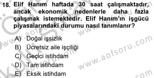 Gelir Dağılımı ve Yoksulluk Dersi 2018 - 2019 Yılı Yaz Okulu Sınav Soruları 18. Soru