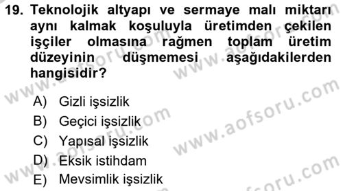 Gelir Dağılımı ve Yoksulluk Dersi 2018 - 2019 Yılı Yaz Okulu Sınav Soruları 19. Soru