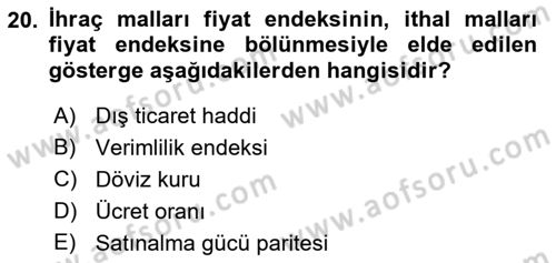 Gelir Dağılımı ve Yoksulluk Dersi 2018 - 2019 Yılı Yaz Okulu Sınav Soruları 20. Soru