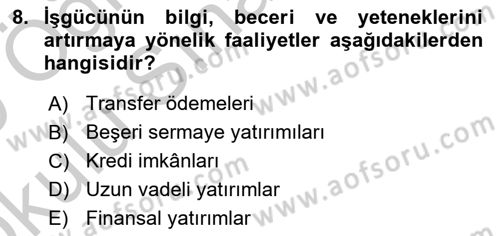 Gelir Dağılımı ve Yoksulluk Dersi 2018 - 2019 Yılı Yaz Okulu Sınav Soruları 8. Soru