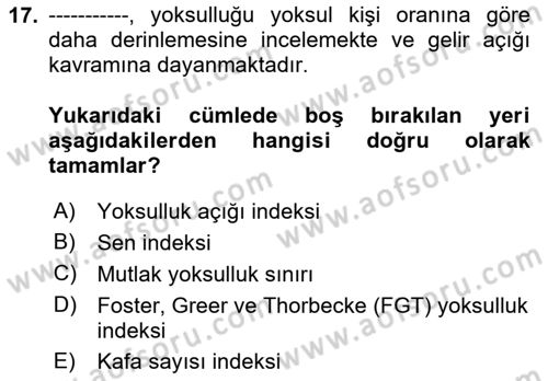 Gelir Dağılımı ve Yoksulluk Dersi 2020 - 2021 Yılı Yaz Okulu Sınav Soruları 17. Soru