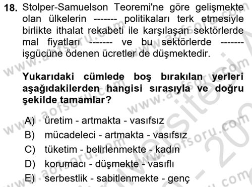Gelir Dağılımı ve Yoksulluk Dersi 2020 - 2021 Yılı Yaz Okulu Sınav Soruları 18. Soru